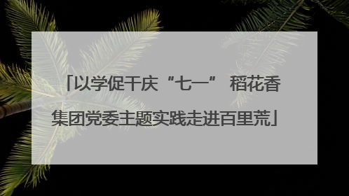 以学促干庆“七一” 稻花香集团党委主题实践走进百里荒